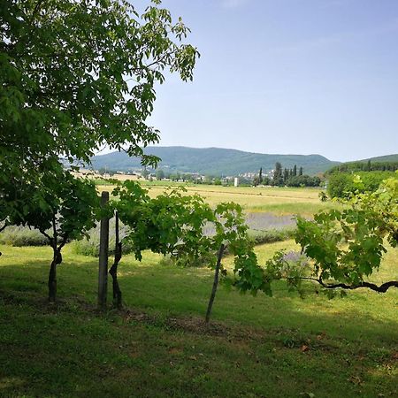 Claudia Vacanza Toscana - Appartamento Nocciolo- 10 Min Da Siena Malignano Екстериор снимка